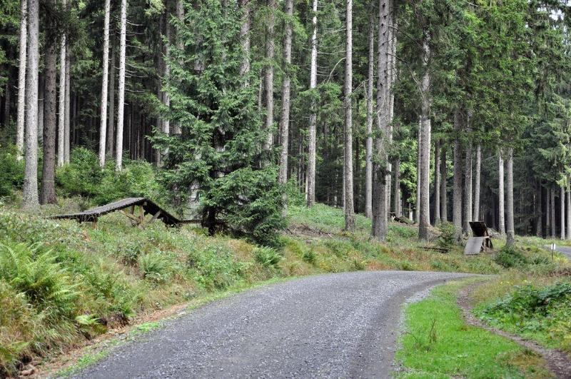 Hotel Sonnenberg Schloesschen Braunlage Bagian luar foto